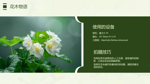 绿色简约风摄影师个人作品集PPT模板