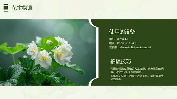 绿色简约风摄影师个人作品集PPT模板