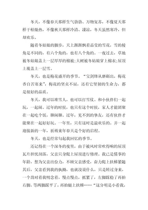 2024年我爱冬天日记作文最新五篇
