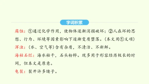 第8课 时间的脚印 统编版语文八年级下册 同步精品课件
