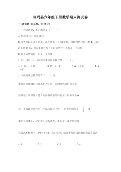班玛县六年级下册数学期末测试卷（能力提升）.docx