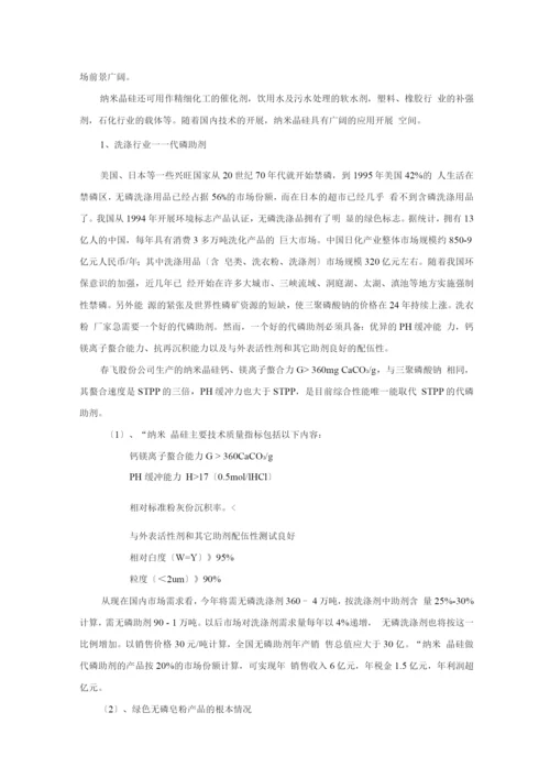 日化股份有限公司商业计划书.docx