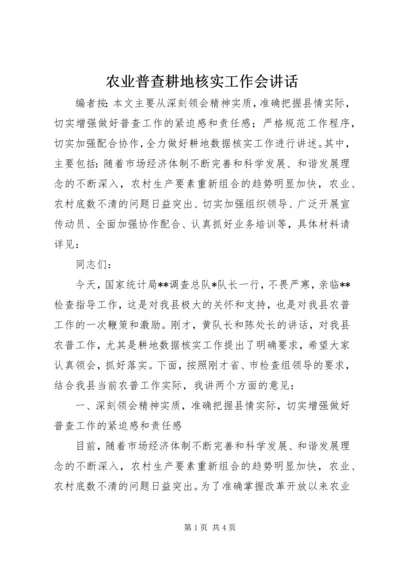 农业普查耕地核实工作会讲话.docx