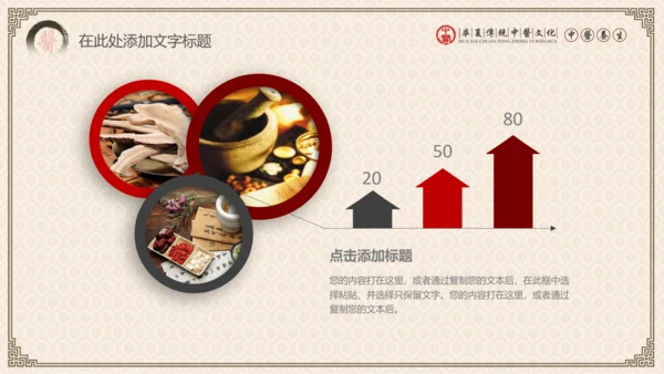 传统中医学中医院中医文化中草药PPT模板