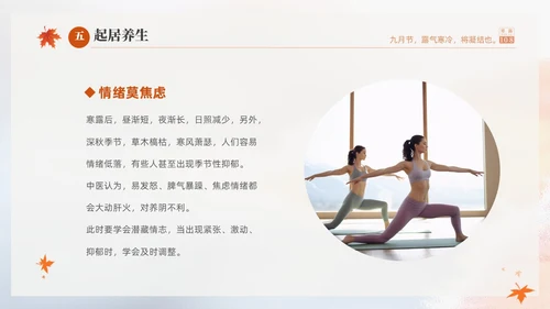 白色淡雅实拍风中国传统节气寒露节气介绍PPT