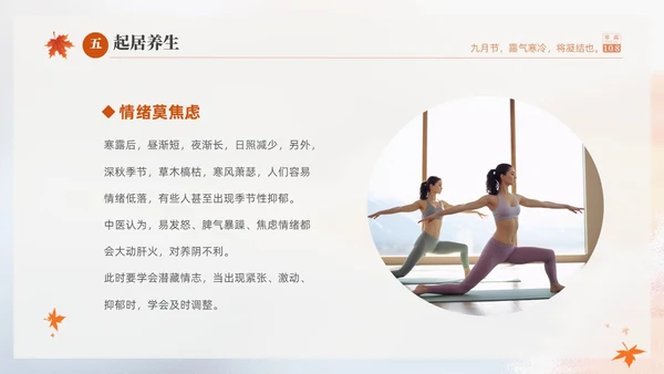 白色淡雅实拍风中国传统节气寒露节气介绍PPT
