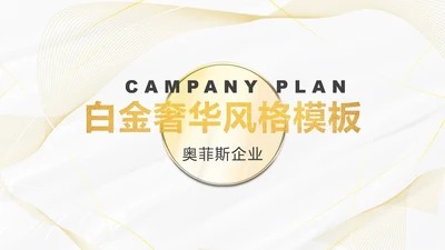 白金线条奢华PPT模板