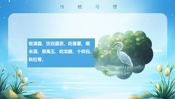 美丽的梦幻传统节气白露PPT模板