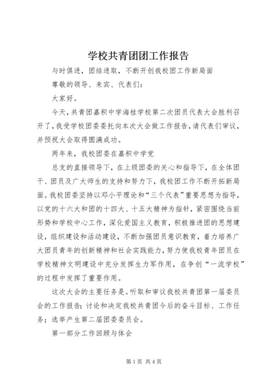 学校共青团团工作报告 (5).docx