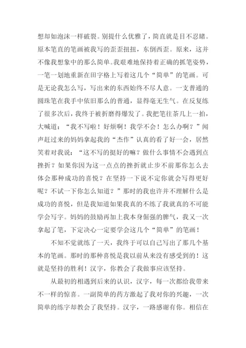 汉字和我作文1000字.docx