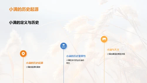 小满节气全解析