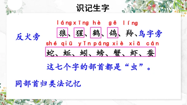 统编版语文二年级上册 课文7 语文园地八（第一课时） 课件