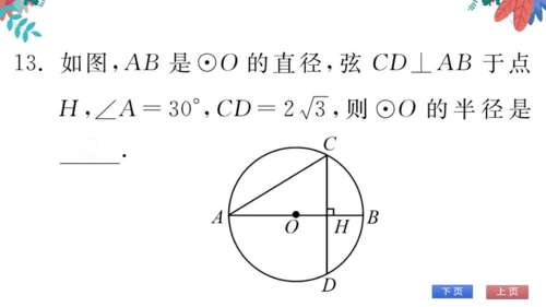 九上数学 期末自我测评 习题课件