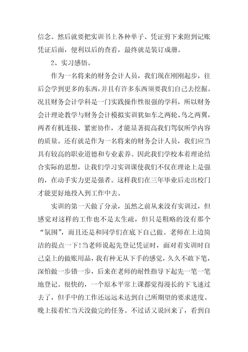 会计个人实习总结通用版