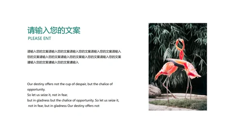 绿色插画风总结汇报PPT模板