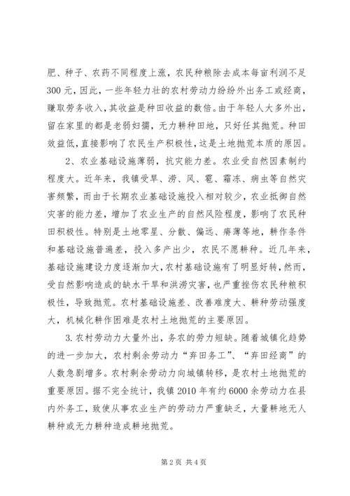 土地抛荒情况调研报告 (2).docx