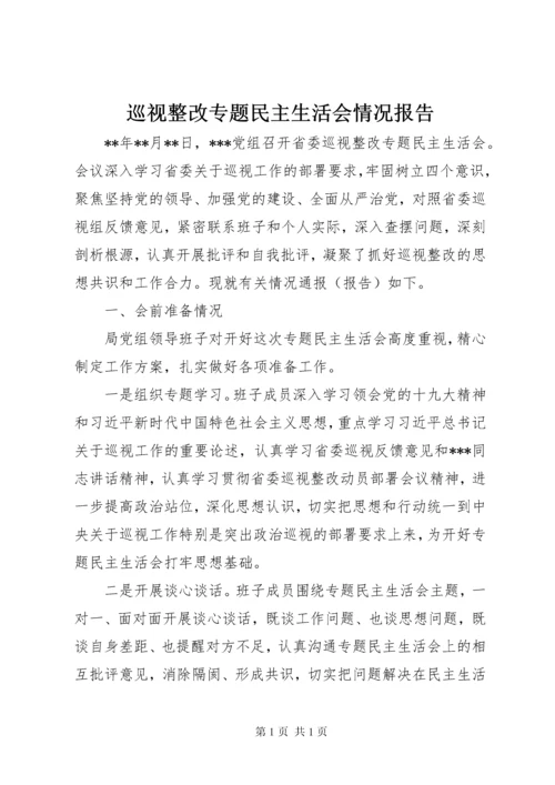 巡视整改专题民主生活会情况报告.docx