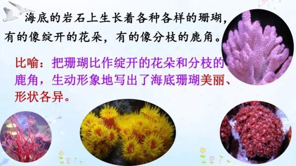 18.富饶的西沙群岛   课件