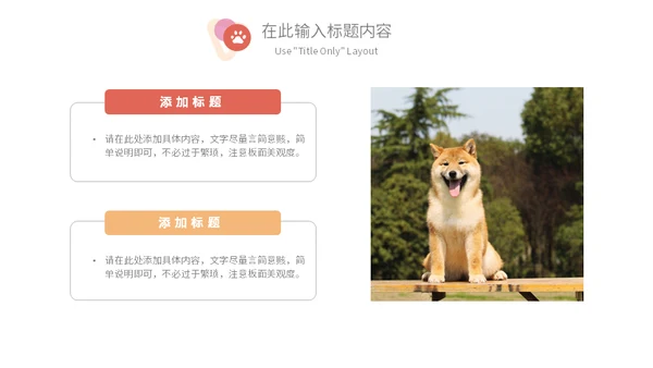 宠物乐园萌宠猫咪主题通用PPT模板
