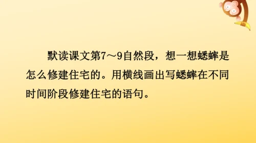 11 蟋蟀的住宅  课件