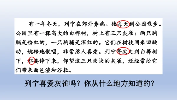 【同步课件】部编版语文三年级上册  25.灰雀（2课时）
