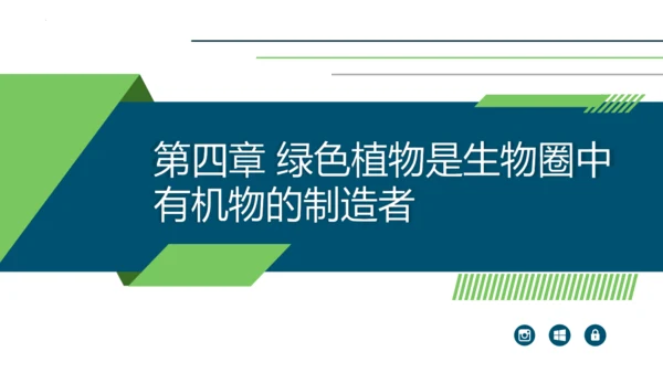 3.3.4  绿色植物是生物圈中有机物的制造者  课件-2023-2024学年人教版生物七年级上册(