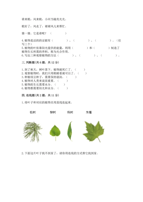 教科版科学一年级上册第一单元《植物》测试卷含答案（满分必刷）.docx