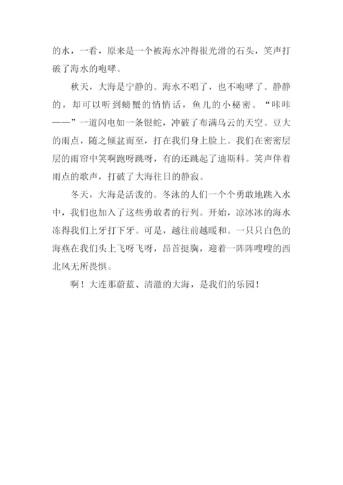 我的乐园作文500字.docx