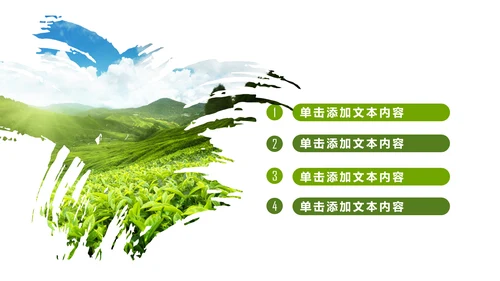 清新绿茶茶文化采茶茶道茶艺茶文化PPT模板