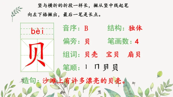 识字3 贝的故事（第一课时）课件