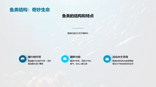 深海神秘：海洋生物揭秘