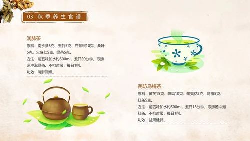 棕色简约中国风实拍笔刷秋季养生中医养生动态PPT