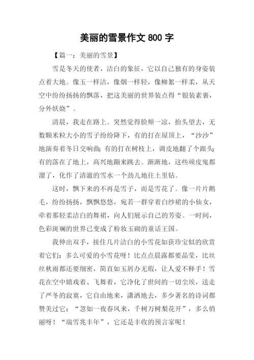 美丽的雪景作文800字.docx