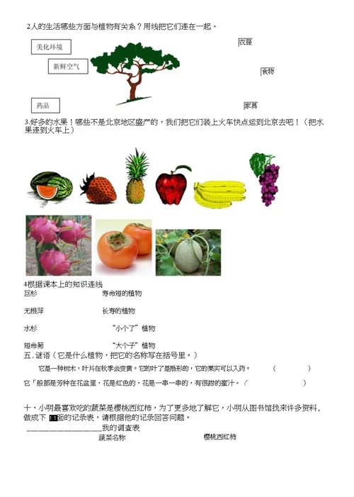 三年级科学植物部分