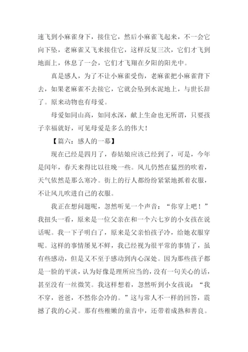 感人的一幕作文.docx