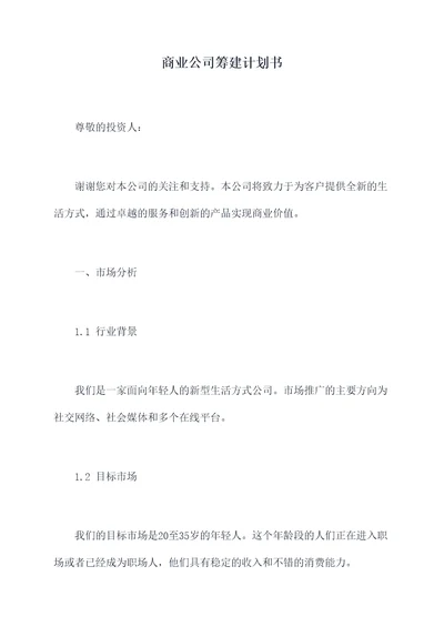 商业公司筹建计划书