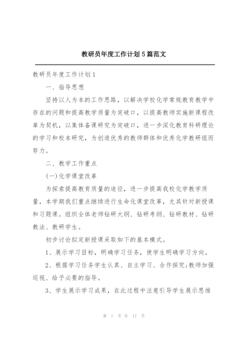 教研员年度工作计划5篇范文.docx