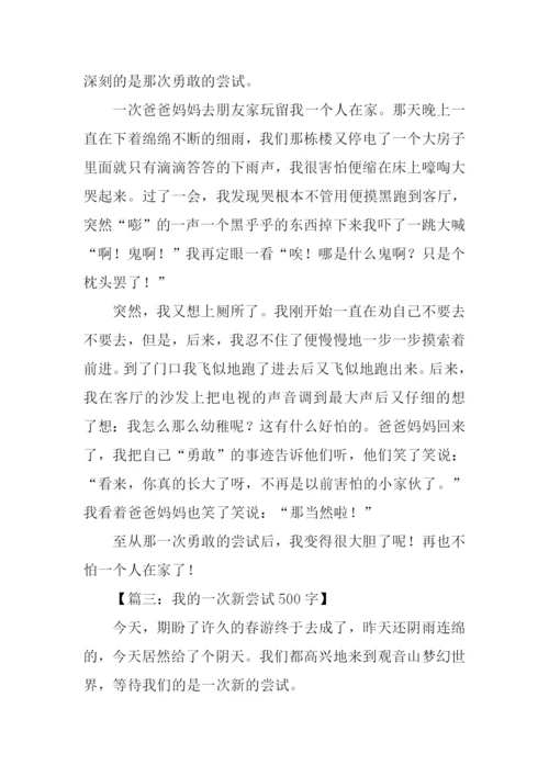 一次的尝试作文-1.docx