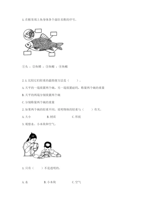 教科版一年级下册科学期末测试卷【各地真题】.docx