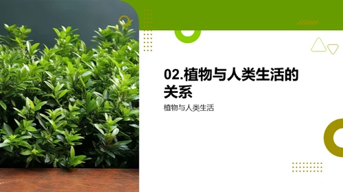 神奇植物世界探秘