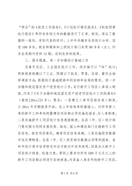 市统计局上半年工作总结和下半年工作安排 (2).docx