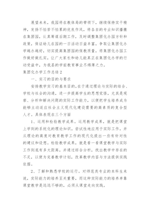 集团化办学工作总结.docx