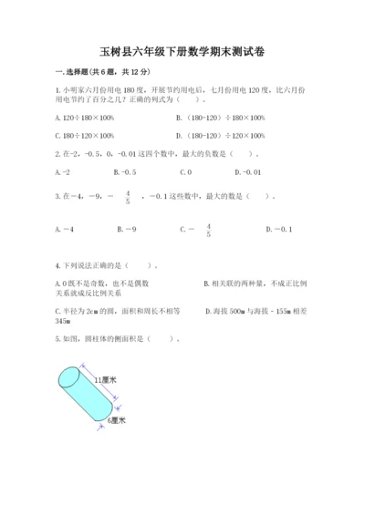 玉树县六年级下册数学期末测试卷word版.docx