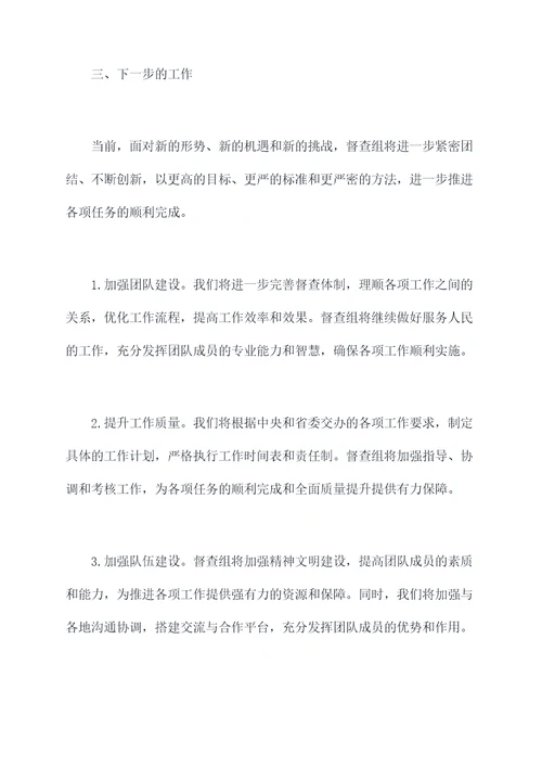 督查组长述职报告