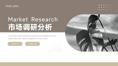 褐色简洁市场调研分析PPT模板
