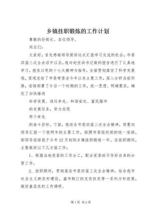 乡镇挂职锻炼的工作计划.docx