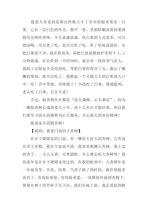杏树作文800字0.docx