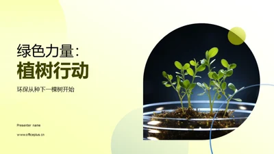 绿色力量：植树行动