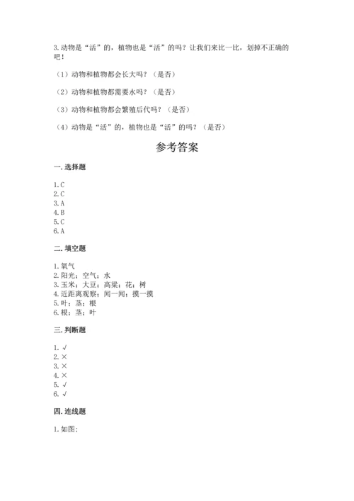 教科版科学一年级上册第一单元《植物》测试卷附答案【达标题】.docx