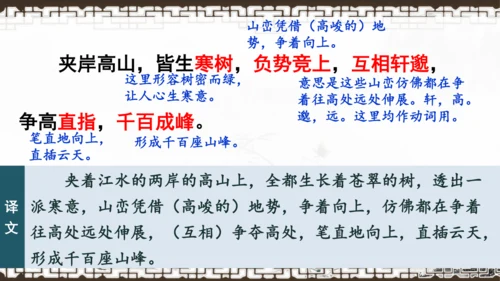第12课《与朱元思书》课件